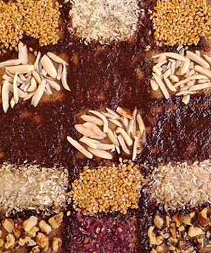 رنگینک کبکاب نخلا